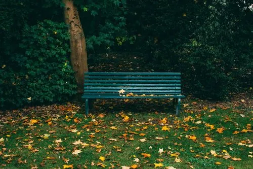 Five Ideas for Lasting Memorials